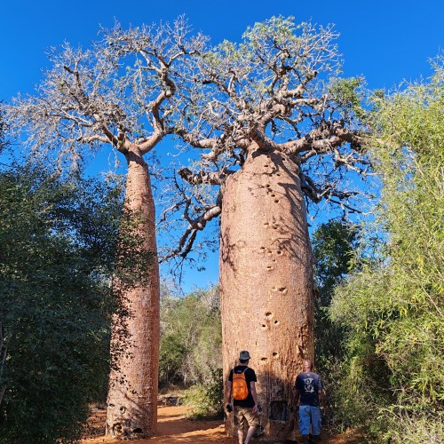 Madagascar Sud