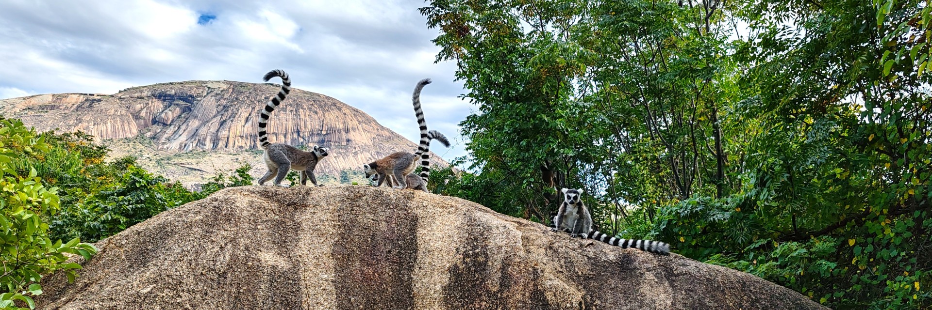 Madagascar Sud