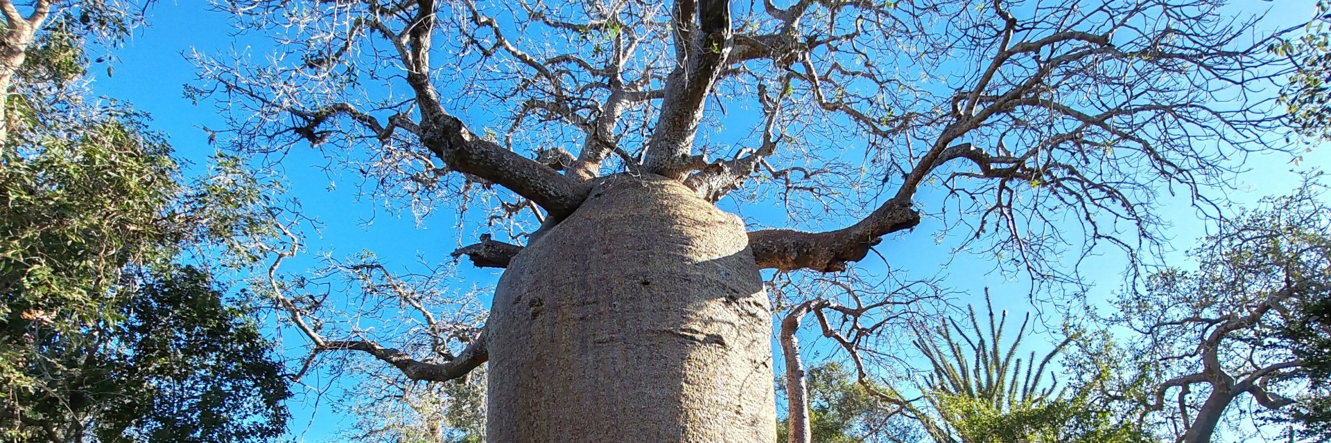 Madagascar Sud