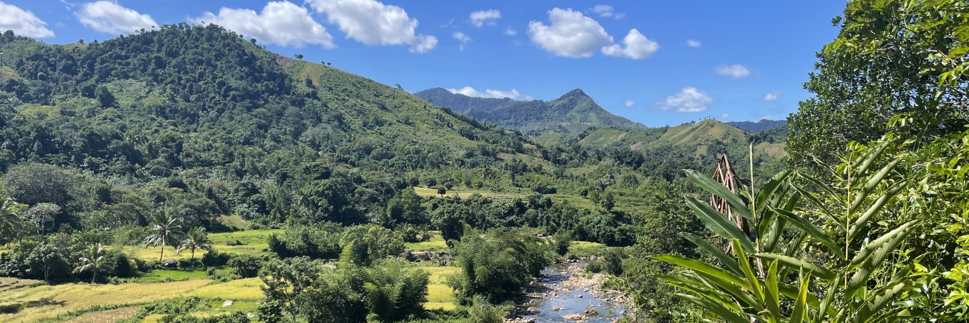 Marojeji