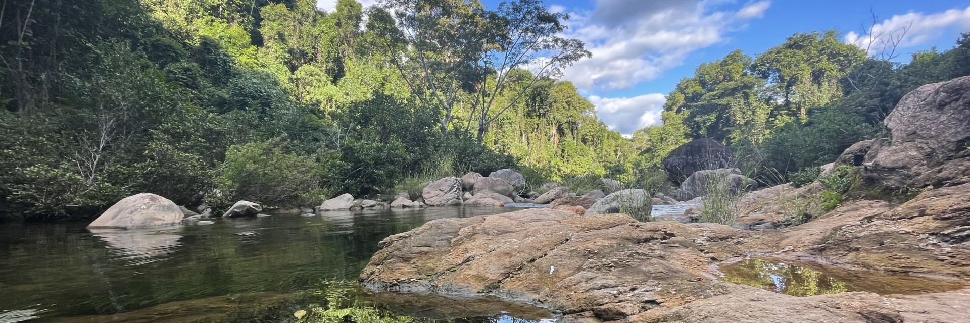 Marojeji