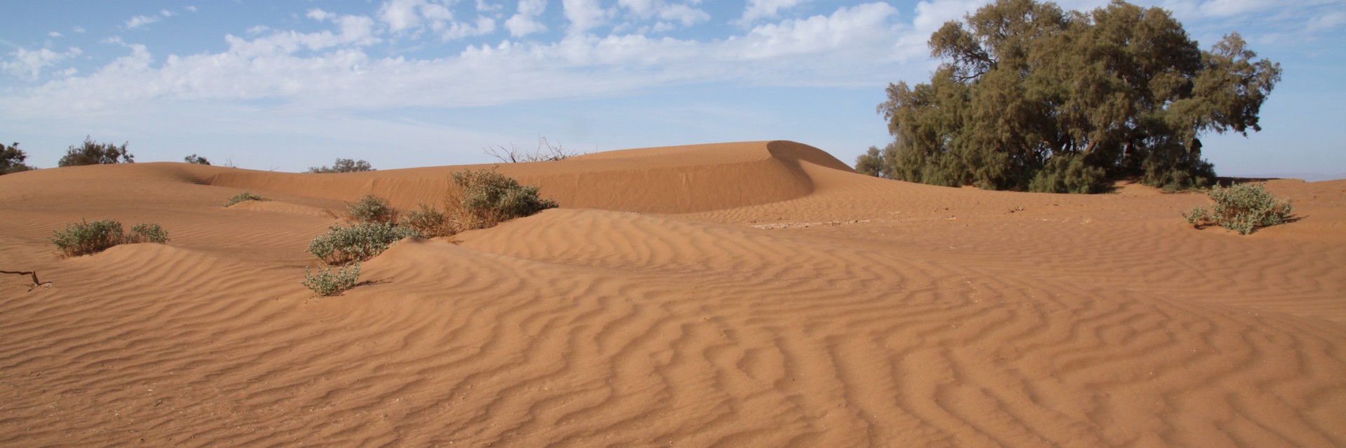 Marocco