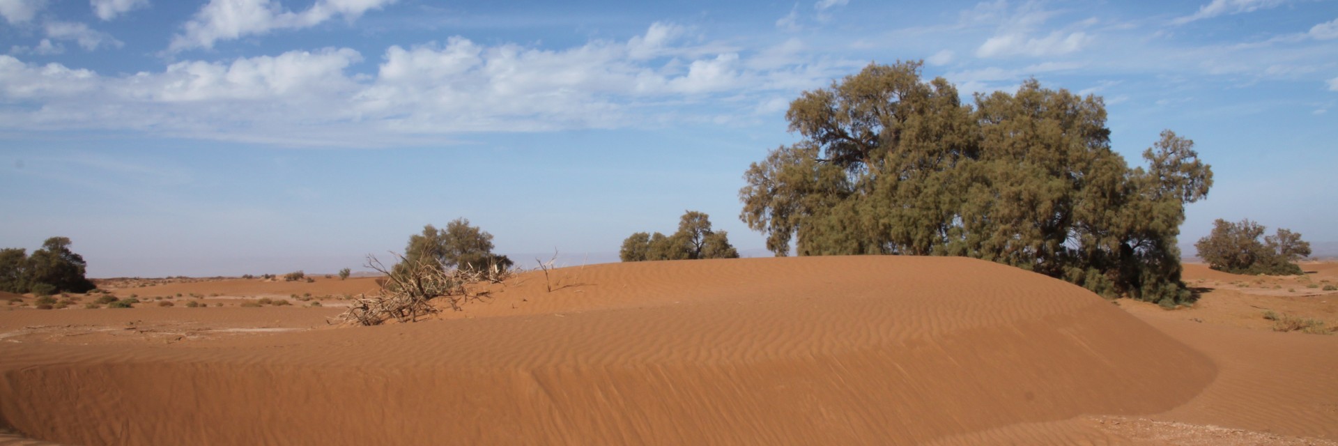 Marocco