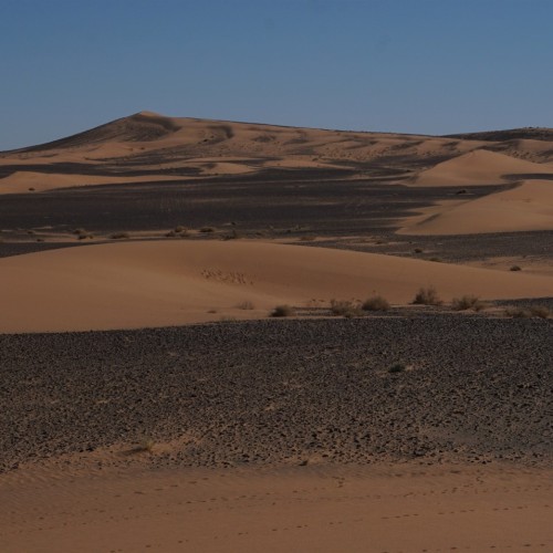 Marocco Sahara