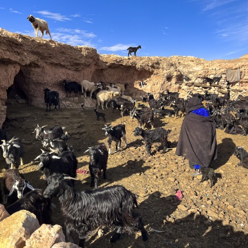 Marocco berberi valli 
