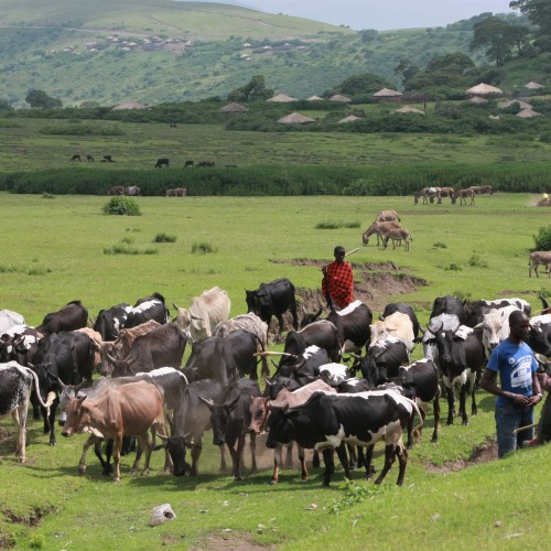 Tanzania Masai