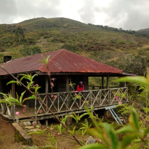 Mulanje Mountain
