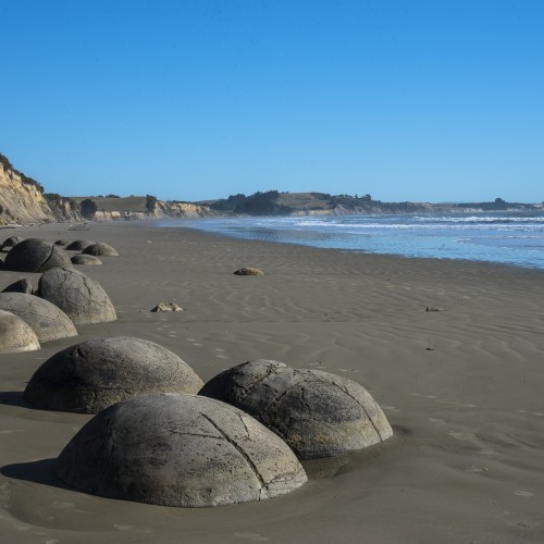 NZ Koekoe beach