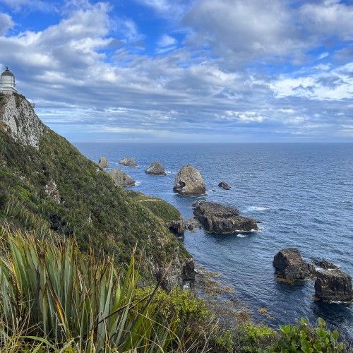 NZ Nugget Point