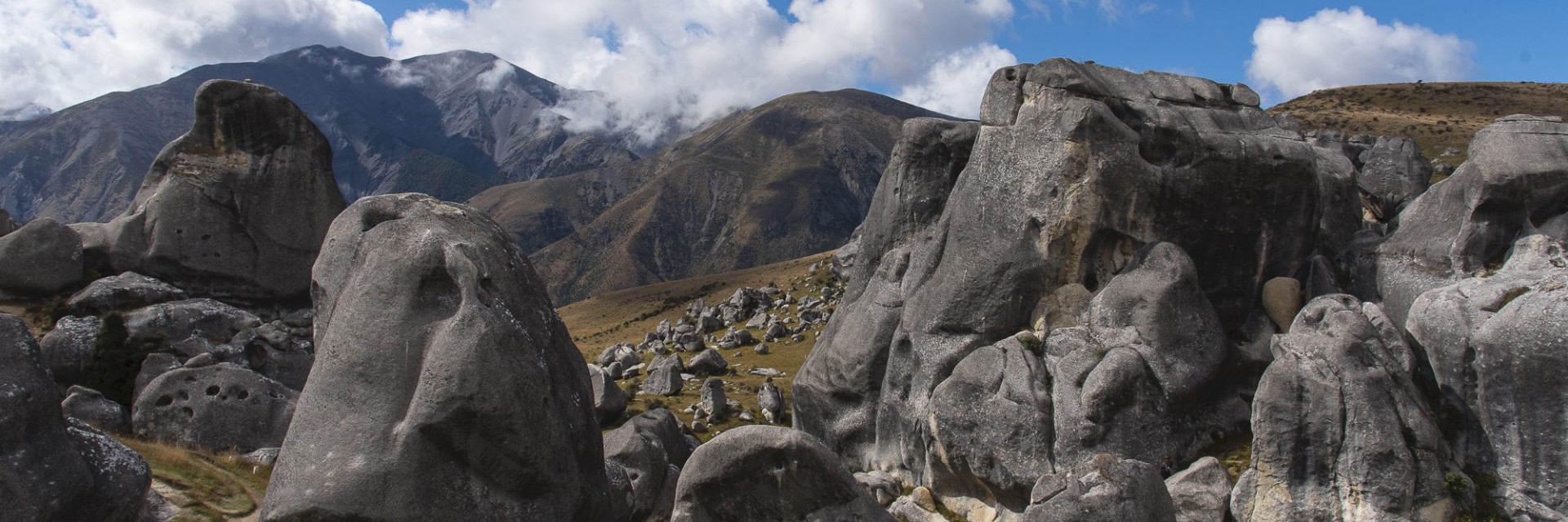 NZ castel Hill