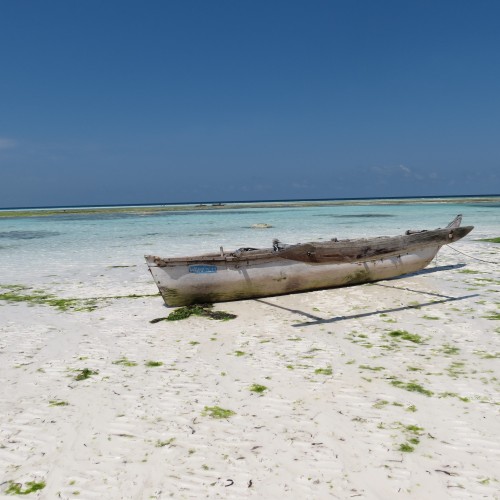 Zanzibar 