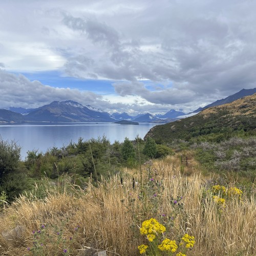 NZ Rotebourn Track 