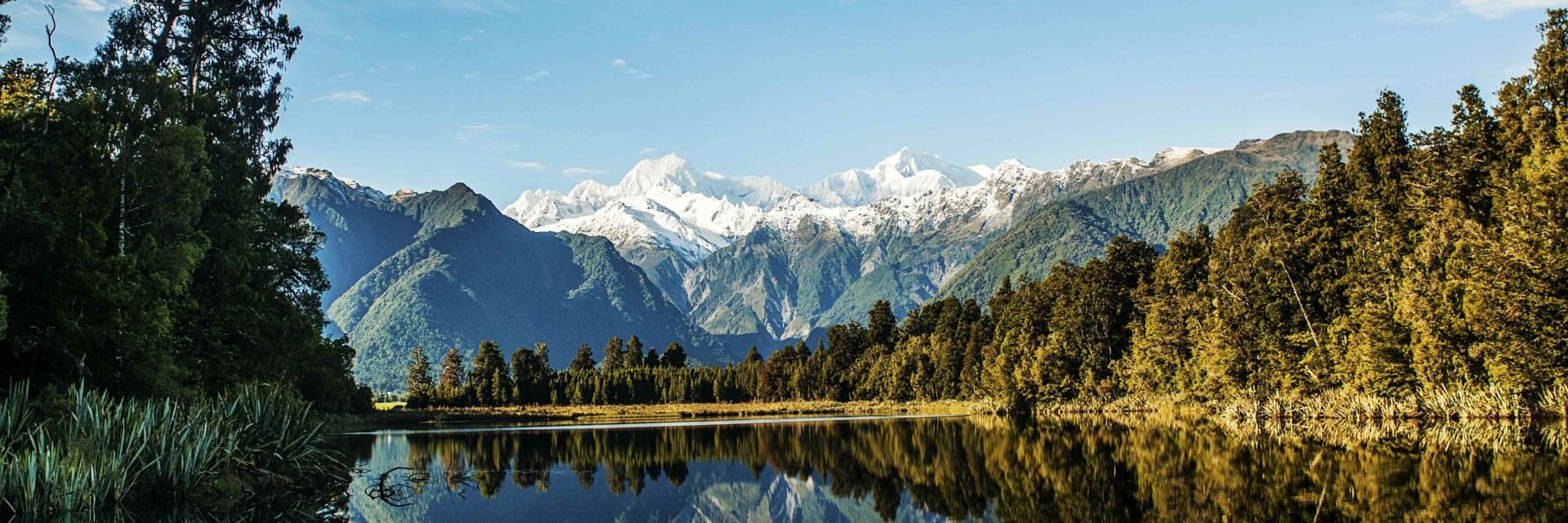 Fox Glacier