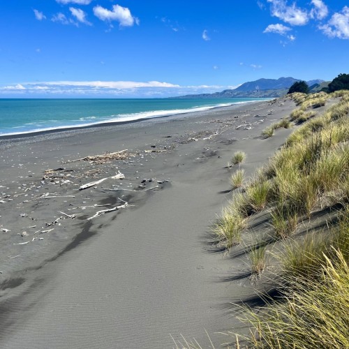NZ Kaikoura