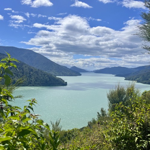 NZ fiordi 