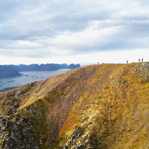 Norvegia