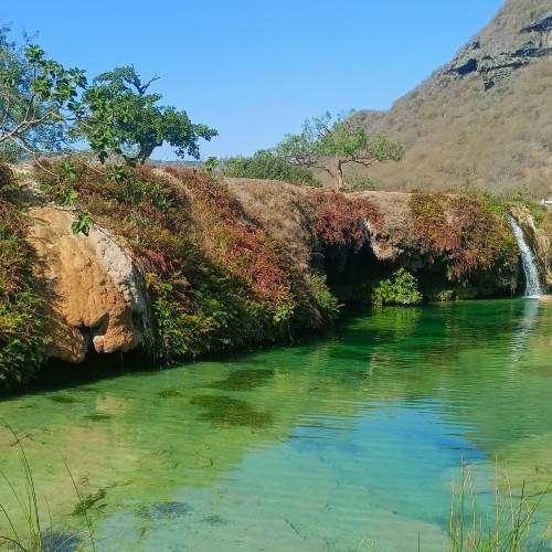 Oman Sud