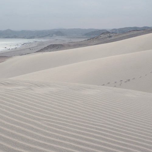 Oman Sud