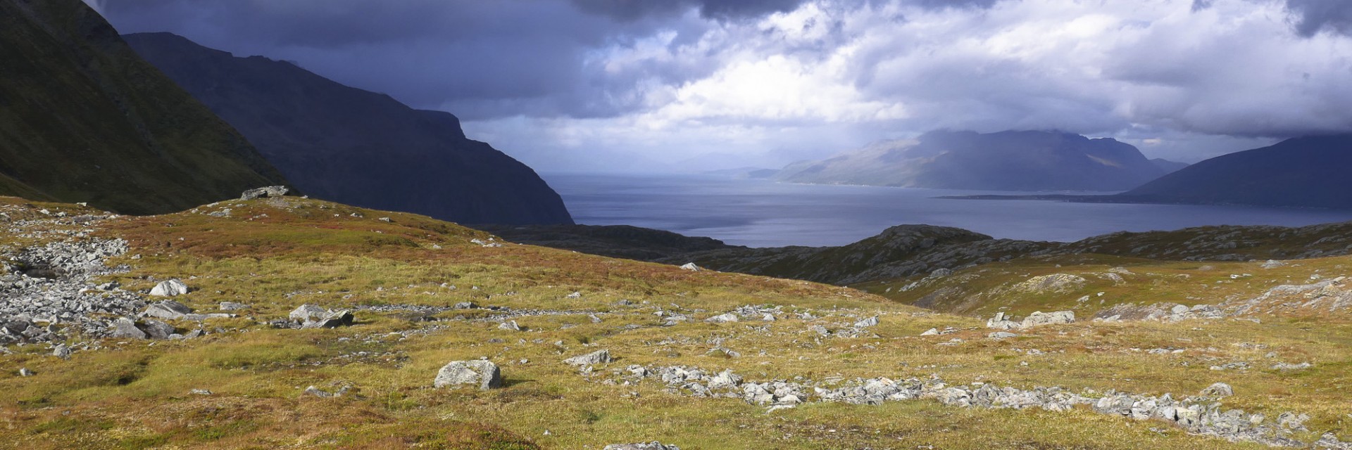 Lyngen trek estivo