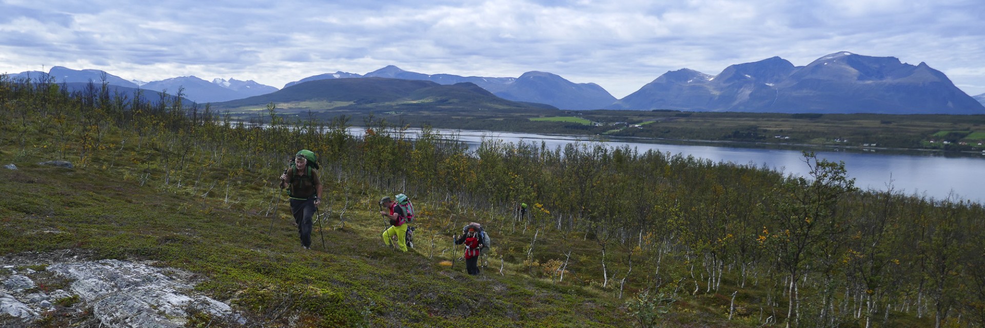 Lyngen trek estivo