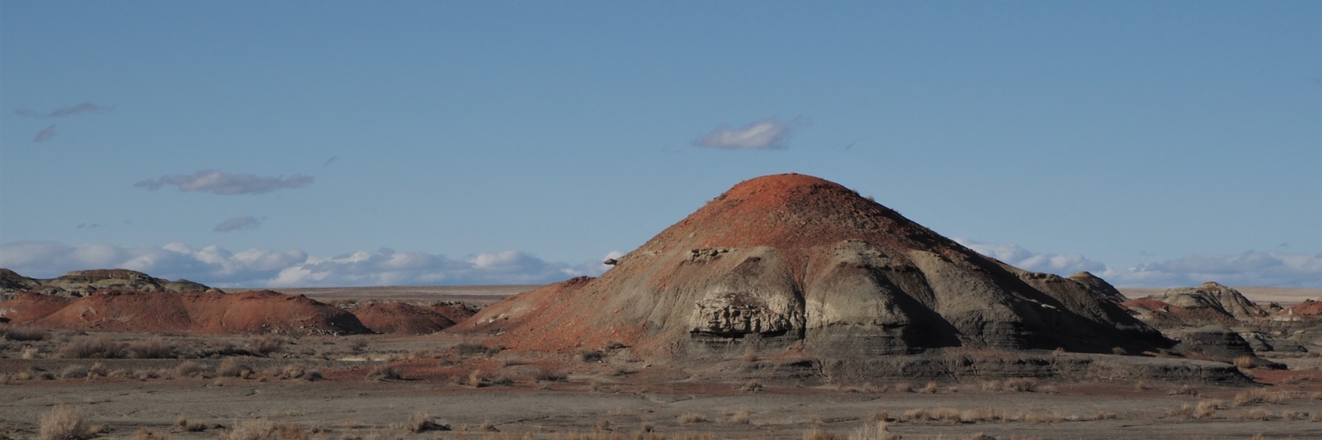 New Mexico