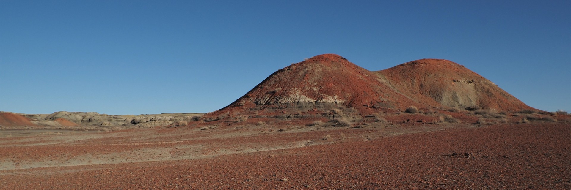 New Mexico