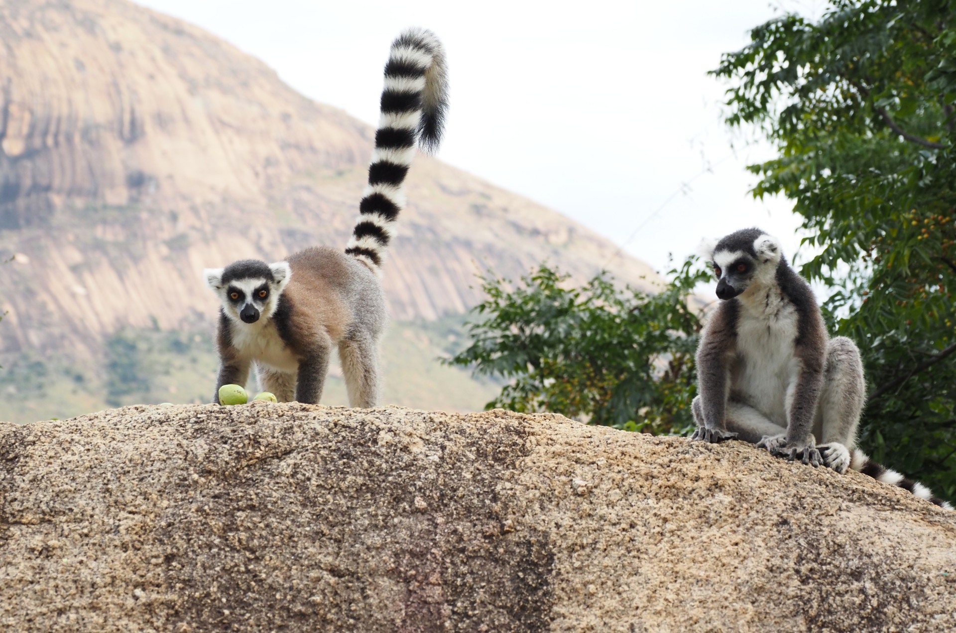 Madagascar Sud