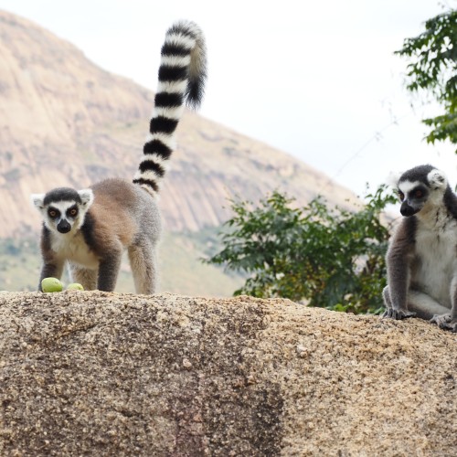Madagascar Sud