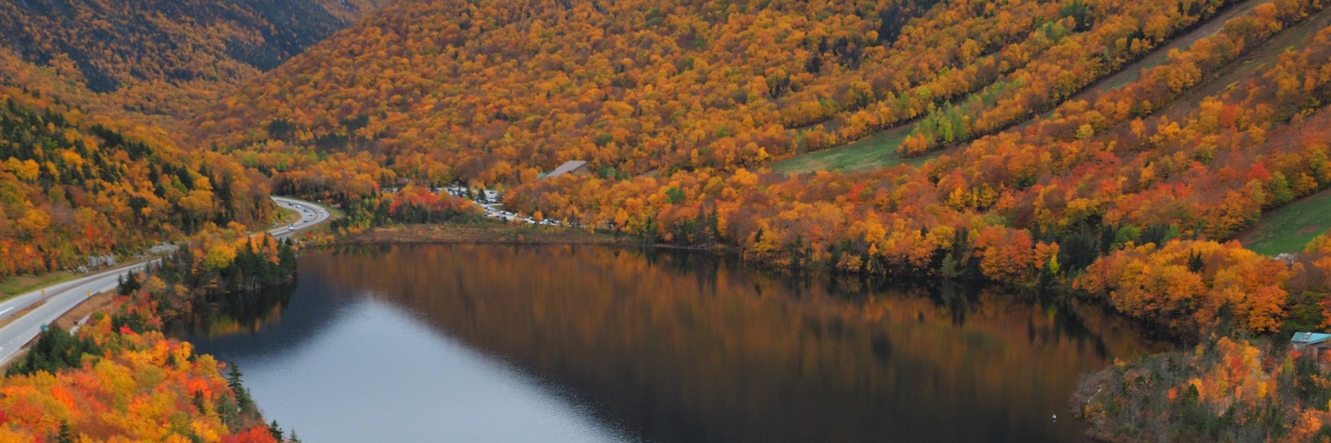 Foliage East USA