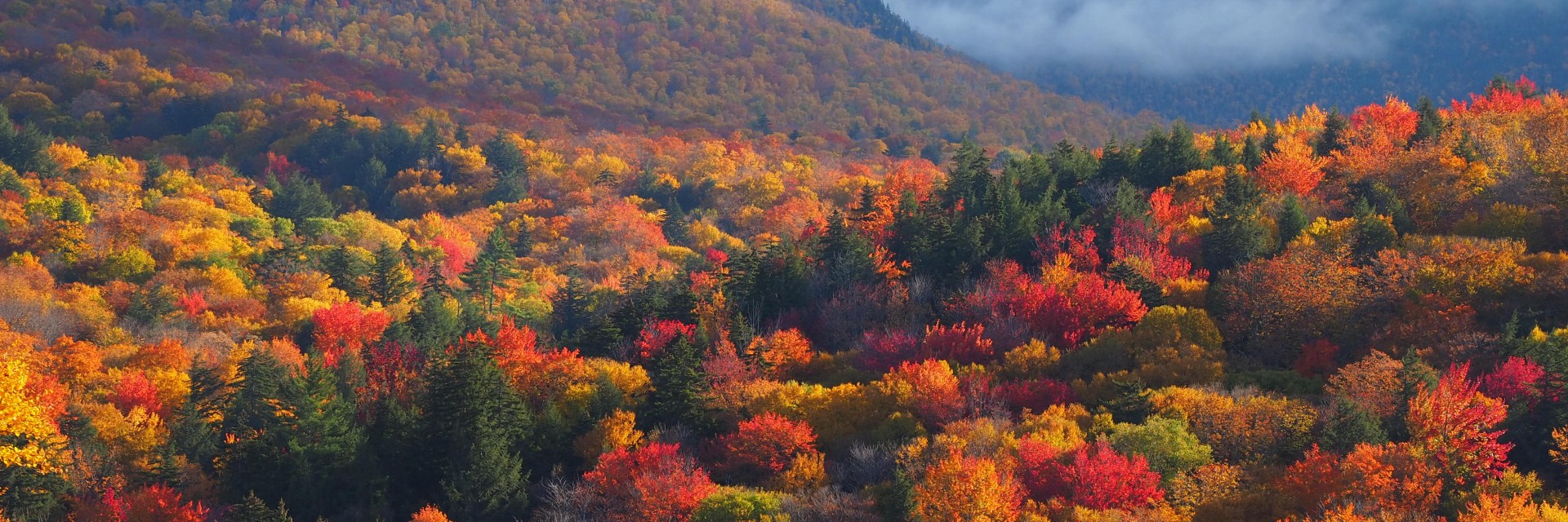 New England Foliage