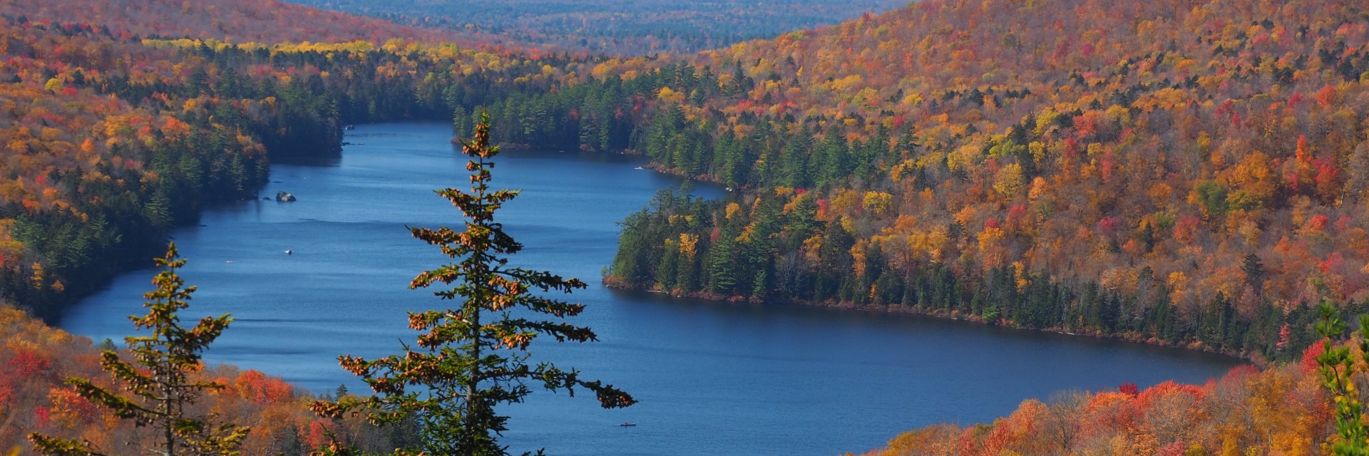 New England Foliage