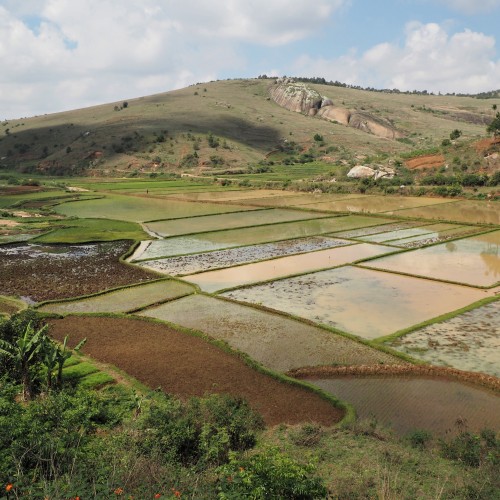 Andasibe panorama risaie