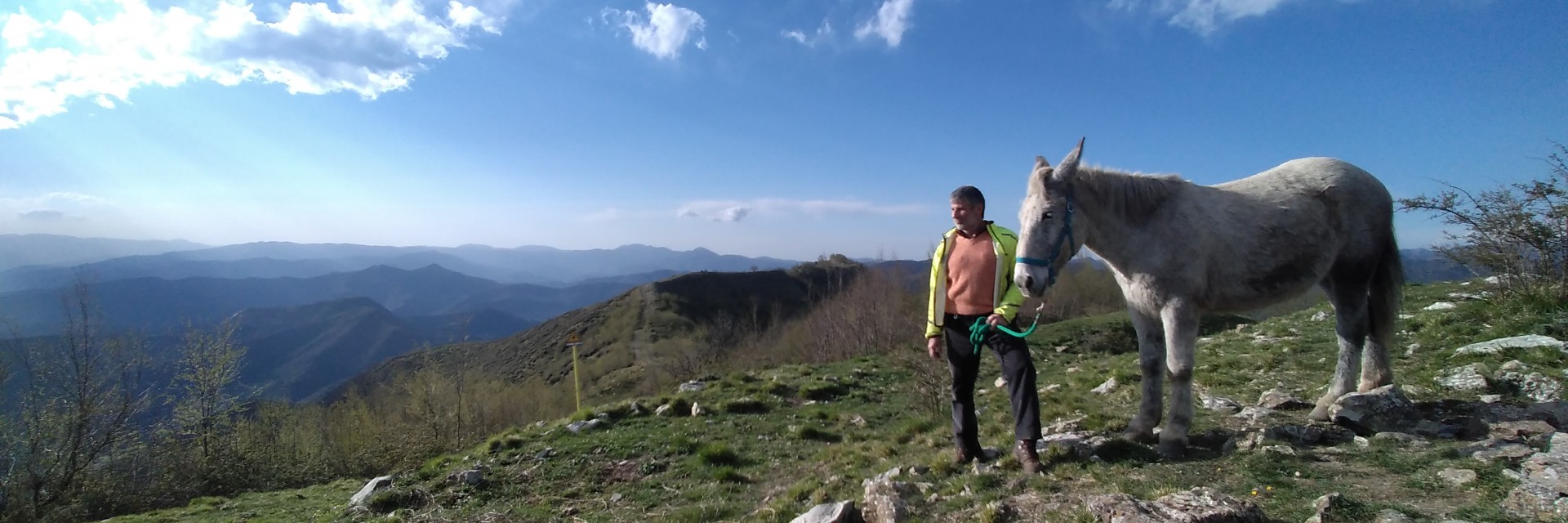 monte fasce