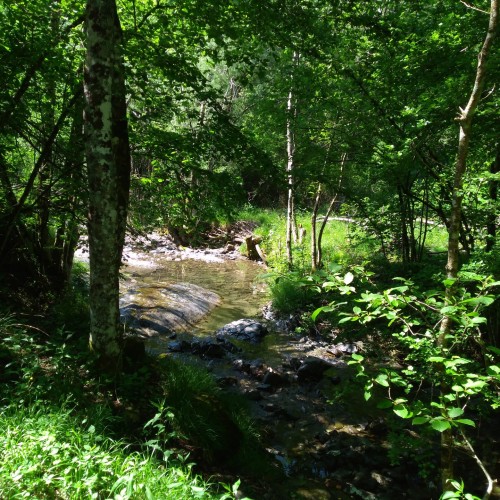 Sorgente del Trebbia