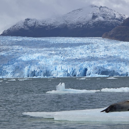 Patagonia