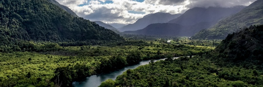 Patagonia
