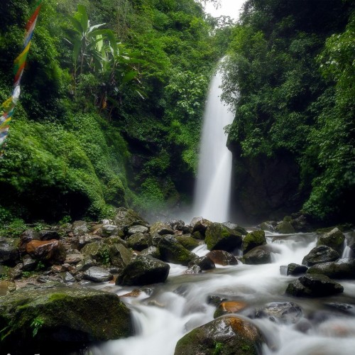 Pelling - khang WF