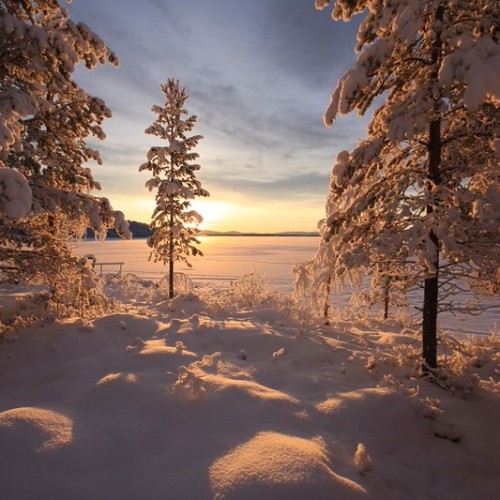 Lapponia