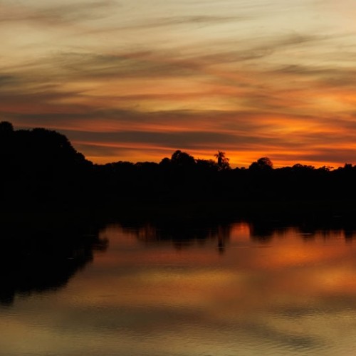 pantanal