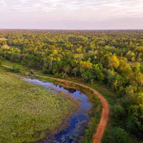 pantanal