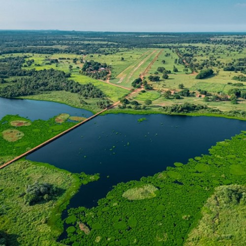 pantanal