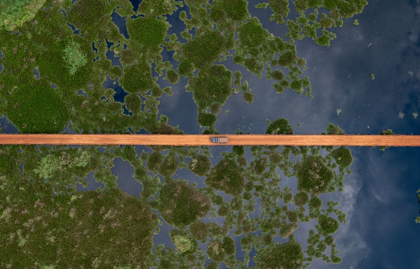 pantanal