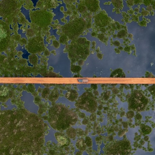 pantanal