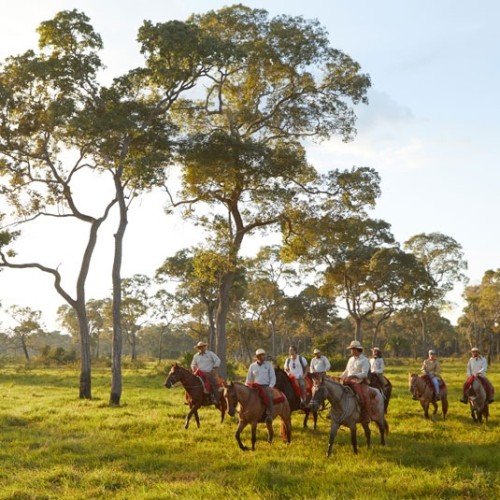 pantanal