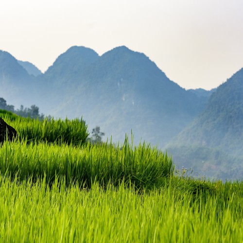 Pu Luong