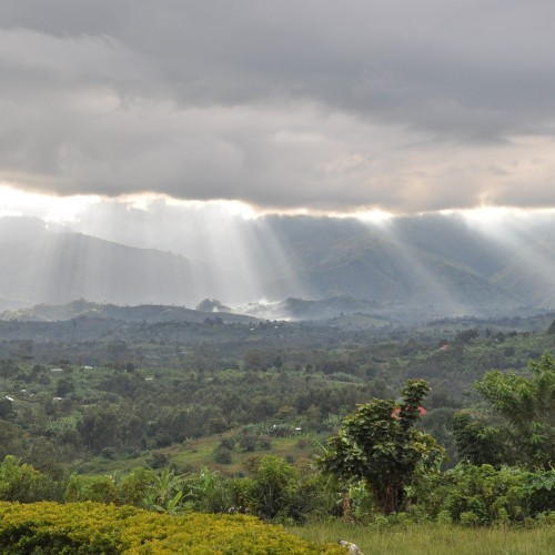 Rwenzori Uganda