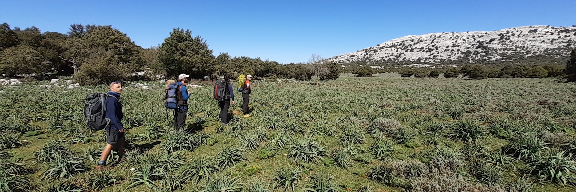 Sardegna TK Supr