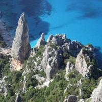 Selvaggio Blu