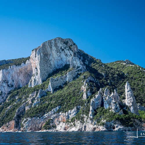 Selvaggio Blu SuAccargiu