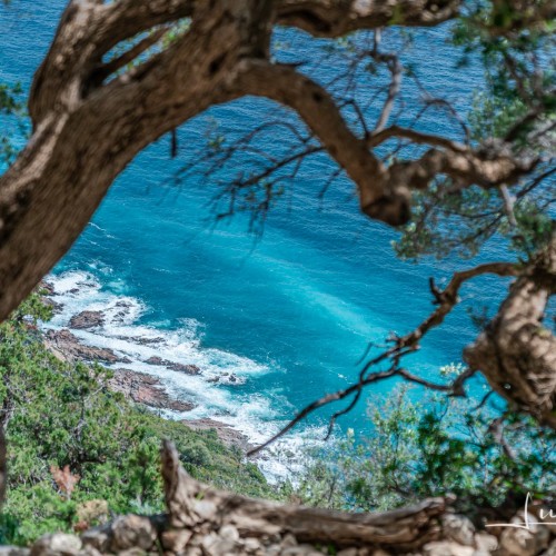 Selvaggio Blu SuAccargiu